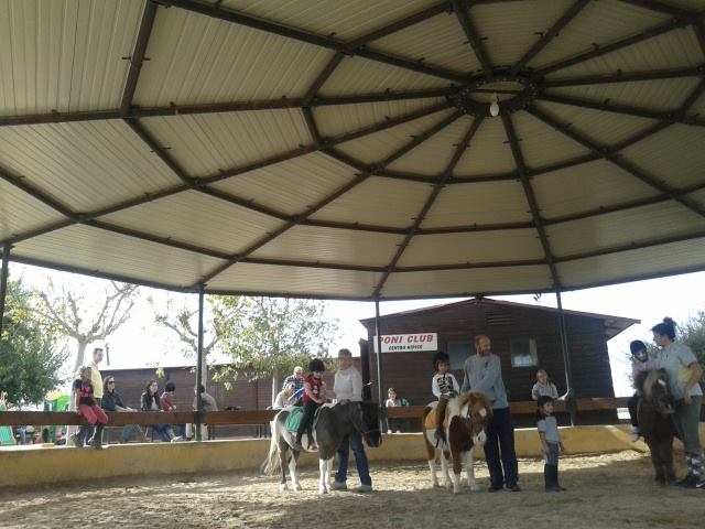 balade à poney pour enfants